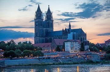 Uitzicht over de Elbe naar de Dom van Magdeburg