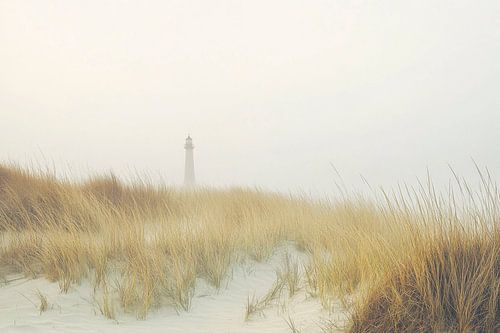 Phare dans le brouillard