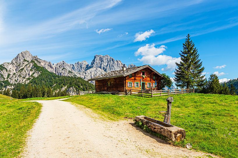 Uitzicht op de Litzlalm met hut in de Alpen in Oostenrijk van Rico Ködder