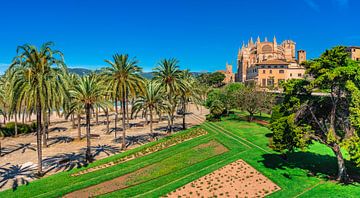 Palma de Majorca, Cathedral La Seu by Alex Winter