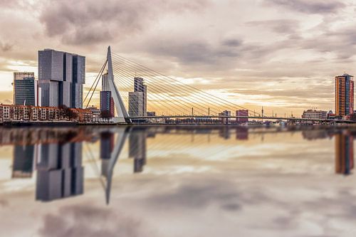 City Thrills vs. Serenity