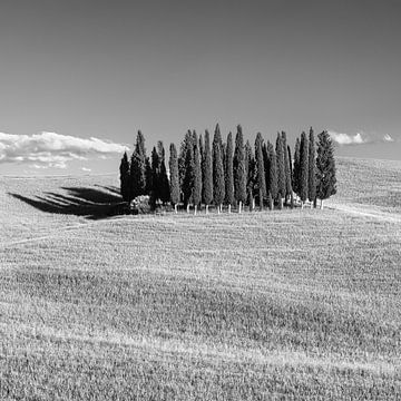 Cirkel van Cipressen in Torrenieri, Toscane, Italië van Henk Meijer Photography
