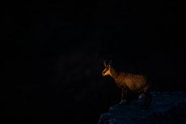 Edelsteine von Stijn Smits