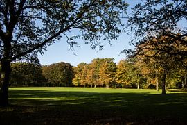 Herfst landschap von Menno Schaefer