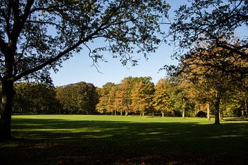 Herfst landschap