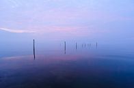purple lake van Arjan Keers thumbnail