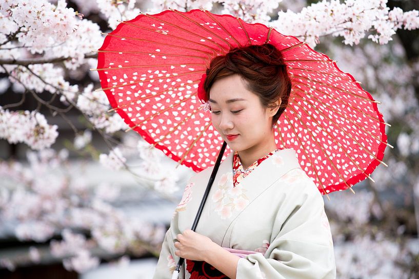 Frau mit Sonnenschirm im Kimono vor Kirschblüten, Japan von Maarten Mensink