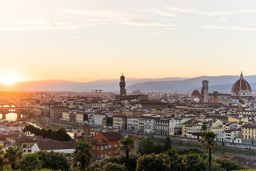 Vue de la vieille ville de Florence par Shanti Hesse