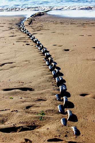 Boeiend. von Edwin Harpe