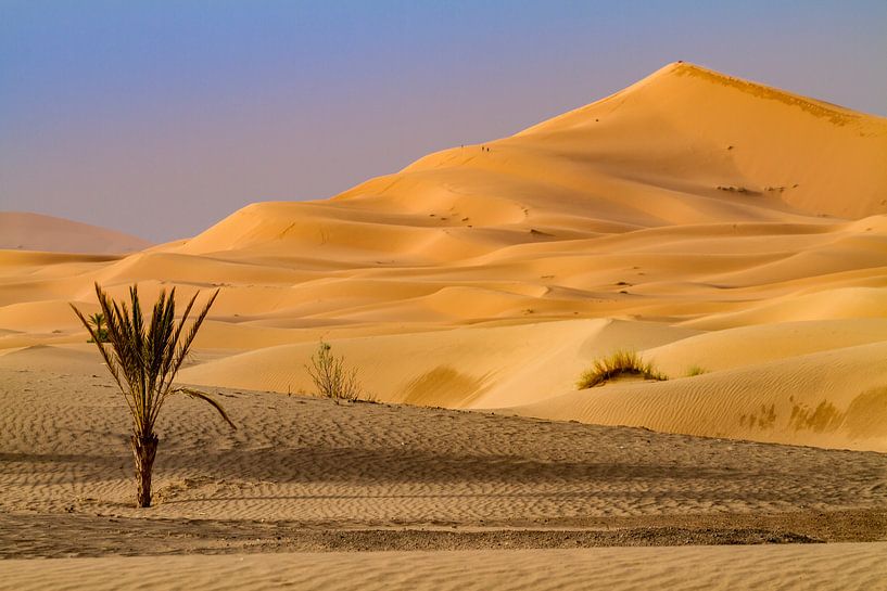 Zandduin in de Sahara van Easycopters