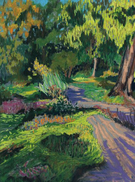 Licht in de Botanische Tuin van Marjet Visscher