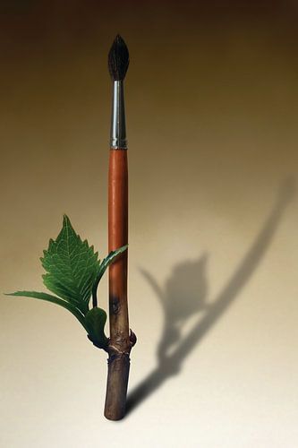 Le printemps se dessine 2/4