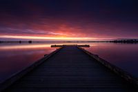 Reeuwijk Plassen