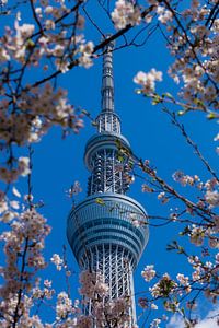 Tokyo Sky Tree sur Schram Fotografie