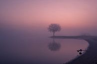 Tree on groyne by Moetwil en van Dijk - Fotografie thumbnail