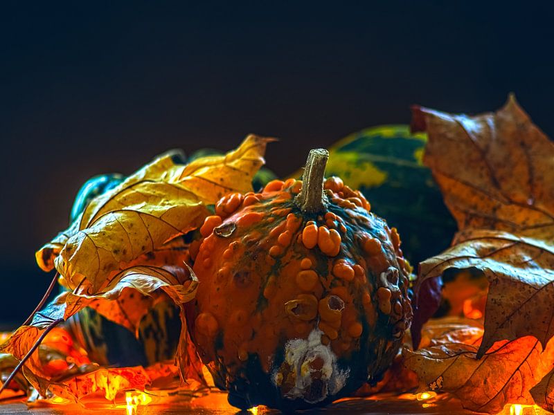 KONZEPT HERBST : KÜRBISSE IM OKTOBER von Photoart-Naegele