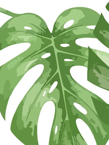 Monstera als Triptychon (1 von 3) von AidasignArt
