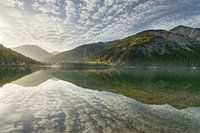 Plansee II