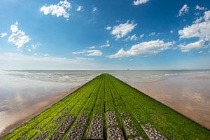 Wellenbrecher am Strand des Zwin