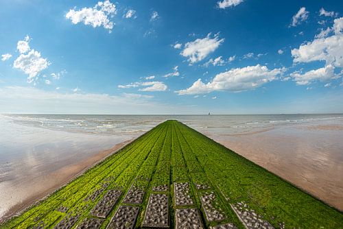 Golfbreker aan het strand bij het Zwin