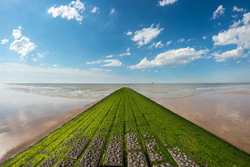 Golfbreker aan het strand bij het Zwin van Gerry van Roosmalen