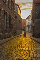 Goldene Pflastersteine in Leuven III