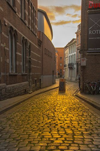 Gouden Kasseien in Leuven III 