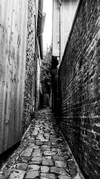 Alley by Tim Briers
