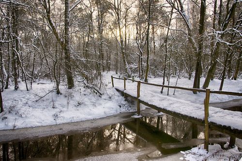Winterlandschap met brug in het bos