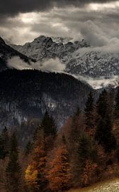 upcoming winter by andreas dauer