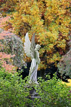 Angel by Edwin Butter