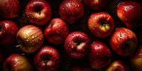 Panoramic image of fresh apples