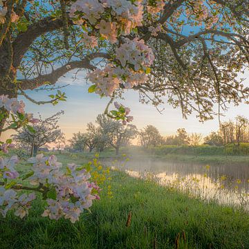 Werk aan de Groeneweg tijdens zonsopkomst