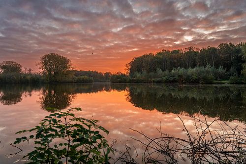 Rijswijk - Lever de soleil dans le Wilhelminapark (0095)