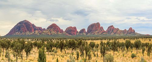 Panorama of Kata Tjuta, Olgas, Northern Territory of Australia