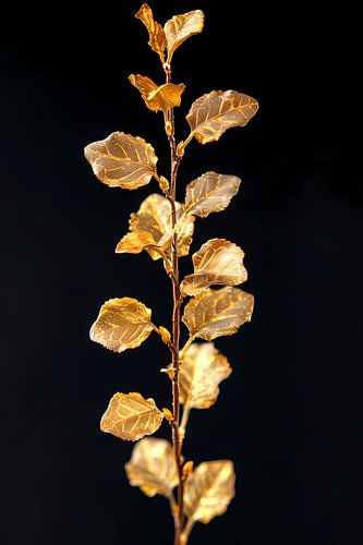 Branche dorée scintillante avec des feuilles sur fond noir
