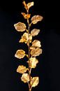 Shimmering golden branch with leaves on black background by Art & Soul Creations thumbnail