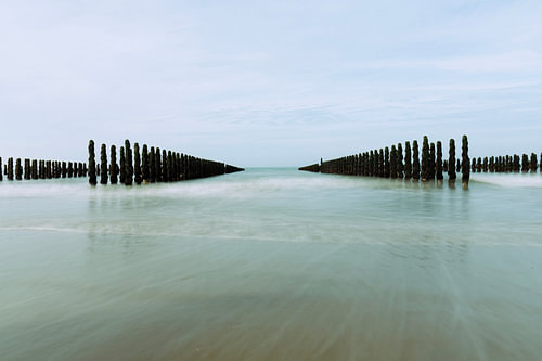 Mussel piles in the sea