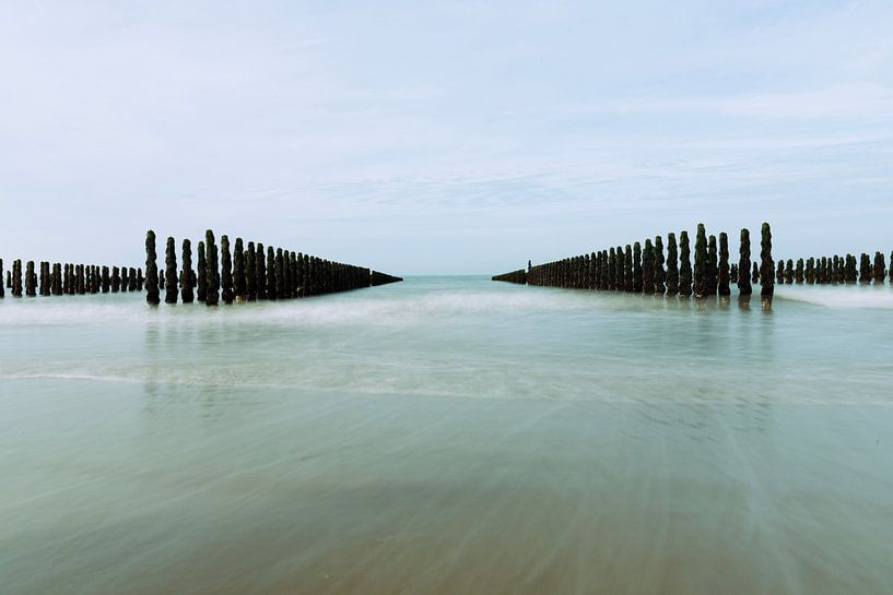 Piles de moules dans la mer par bianca post