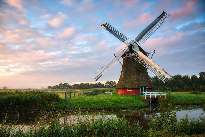 Krimstermolen in het ochtendlicht van Anneke Hooijer