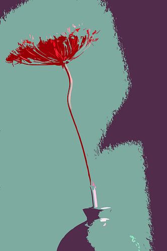 Dille, grafisch weergegeven