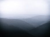 Liebesbankweg im Nebel van Dirk Bartschat thumbnail