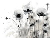 Schwarz-weiße Mohnblumen