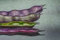 wild beans by artpictures.de thumbnail