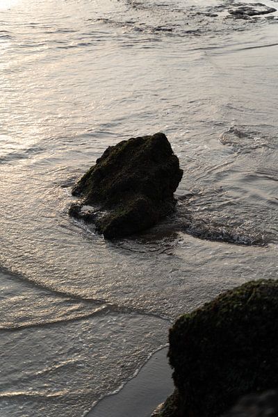 Rock in the water by Xulé Bogers