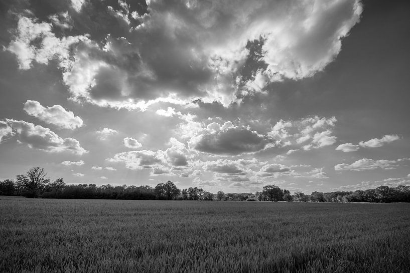 landschap van Bart Liesenborgs