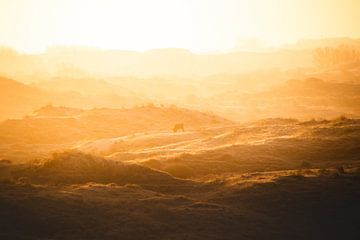 Oranje zonsondergang landschap met hooglander van Graphx