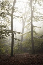 A mystery trio by Thijs Pausma