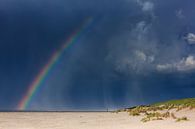 Regenbogen über dem Strand von Terschelling von Jurjen Veerman Miniaturansicht