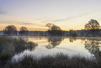 Zonsopkomst Dwingelderveld - Nederland (Drenthe)